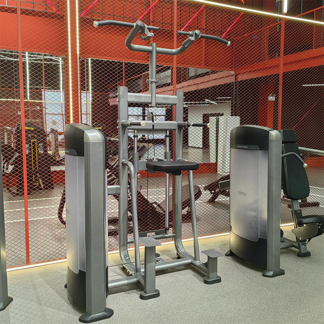 FF09 آلة مساعدة التراجع والذقن | تمارين رياضية بمساعدة الوزن | معدات القوة في صالة الألعاب الرياضية