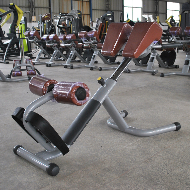 AN31 كرسي روماني | التمديد الخلفي | معدات التدريب الأساسية