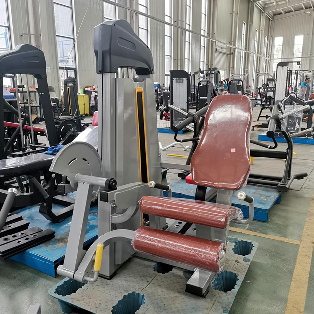 آلة تمديد الساق F02 | عازل رباعية الرؤوس | معدات تقوية الركبة