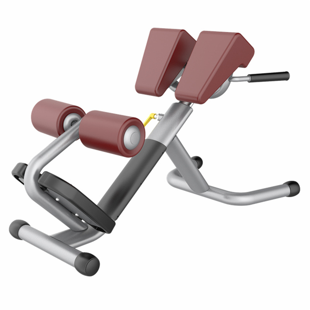 AN31 كرسي روماني | التمديد الخلفي | معدات التدريب الأساسية