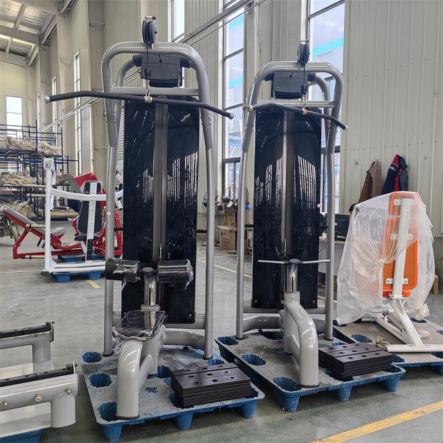 AN04 المنسدلة اللاتفية | معدات القوة الرياضية التجارية | منشئ الظهر المحترف