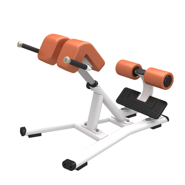 F45 مقعد التمديد الخلفي | الكرسي الروماني | مطور أساسي وأسفل الظهر