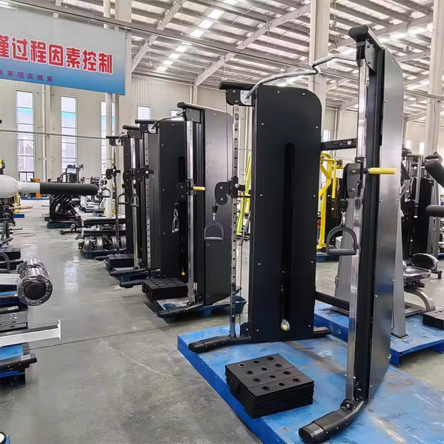 ماكينة الانزلاق MND-FS17 FTS | مدرب القوة والاستقرار من جانب واحد | مدرب وظيفي متعدد الطائرات