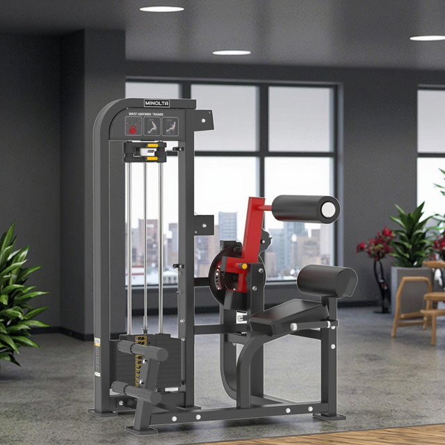 MND-FM85 مدرب الخصر والبطن | آلة الجذع الدوارة | المطور المائل والأساسي